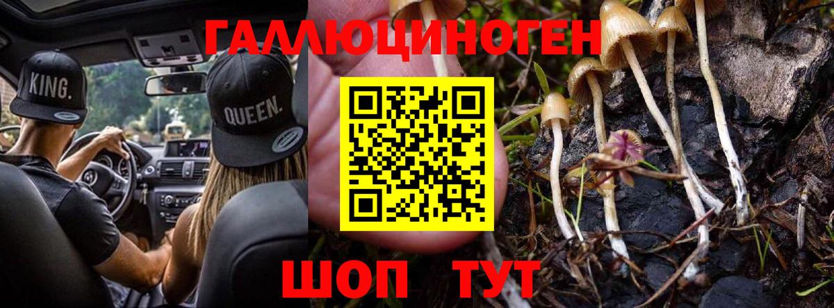 Дзержинск  Галлюциногенные грибы мухоморы  Вход с VPN 