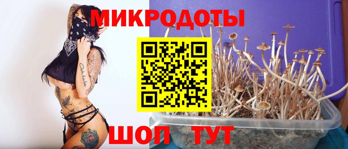 Псилоцибиновые грибы ЛСД Дзержинск